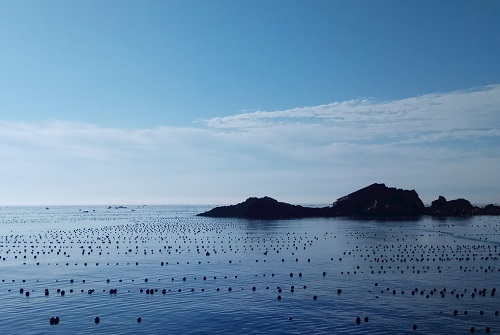 1677475034129739.png image.png