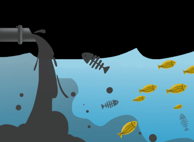 如何判斷水質(zhì)檢測(cè)儀質(zhì)量的好壞？（什么樣的水質(zhì)監(jiān)測(cè)儀才算好的）