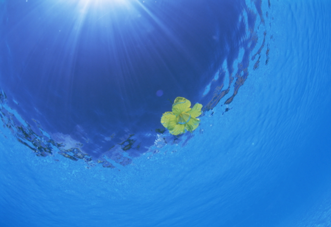 水質(zhì)采樣器應(yīng)該怎樣保養(yǎng)與維護(hù)？（水質(zhì)采樣器注意定期清潔和消毒）