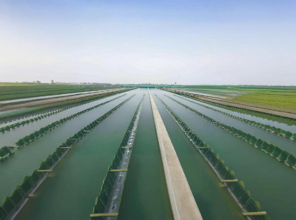 自來(lái)水廠(chǎng)水質(zhì)檢測(cè)方案